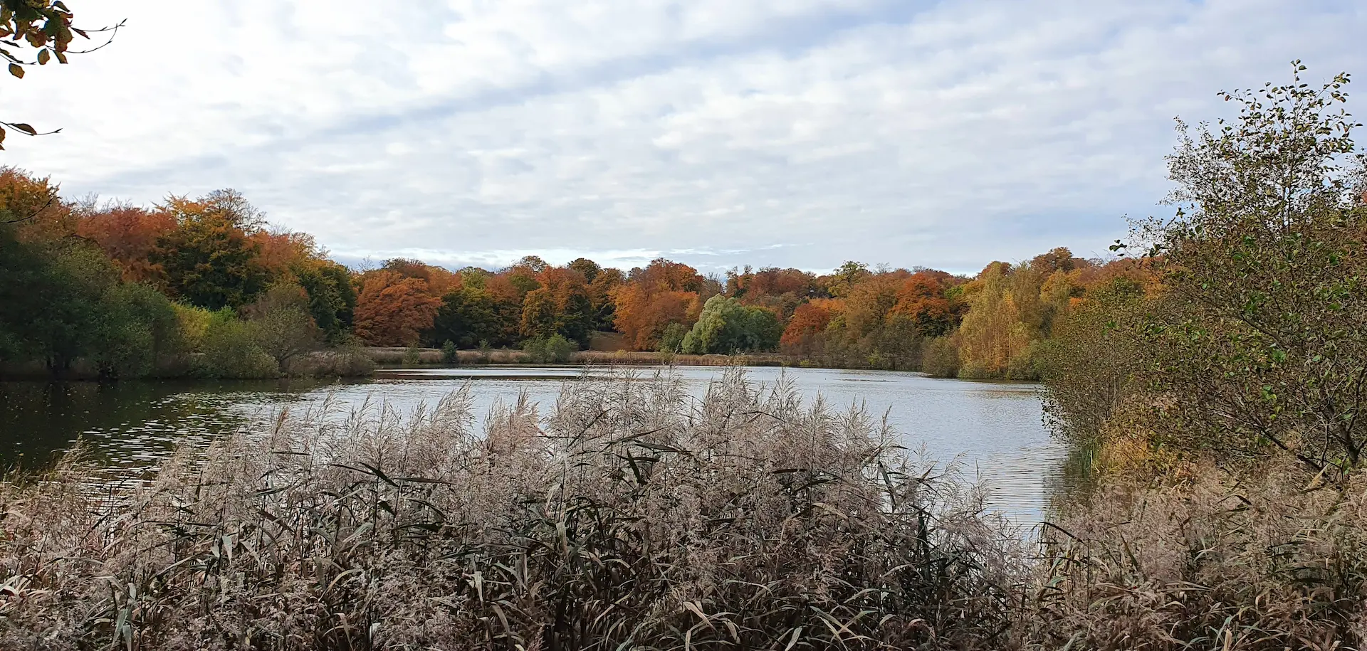 biodiversitet-boomer